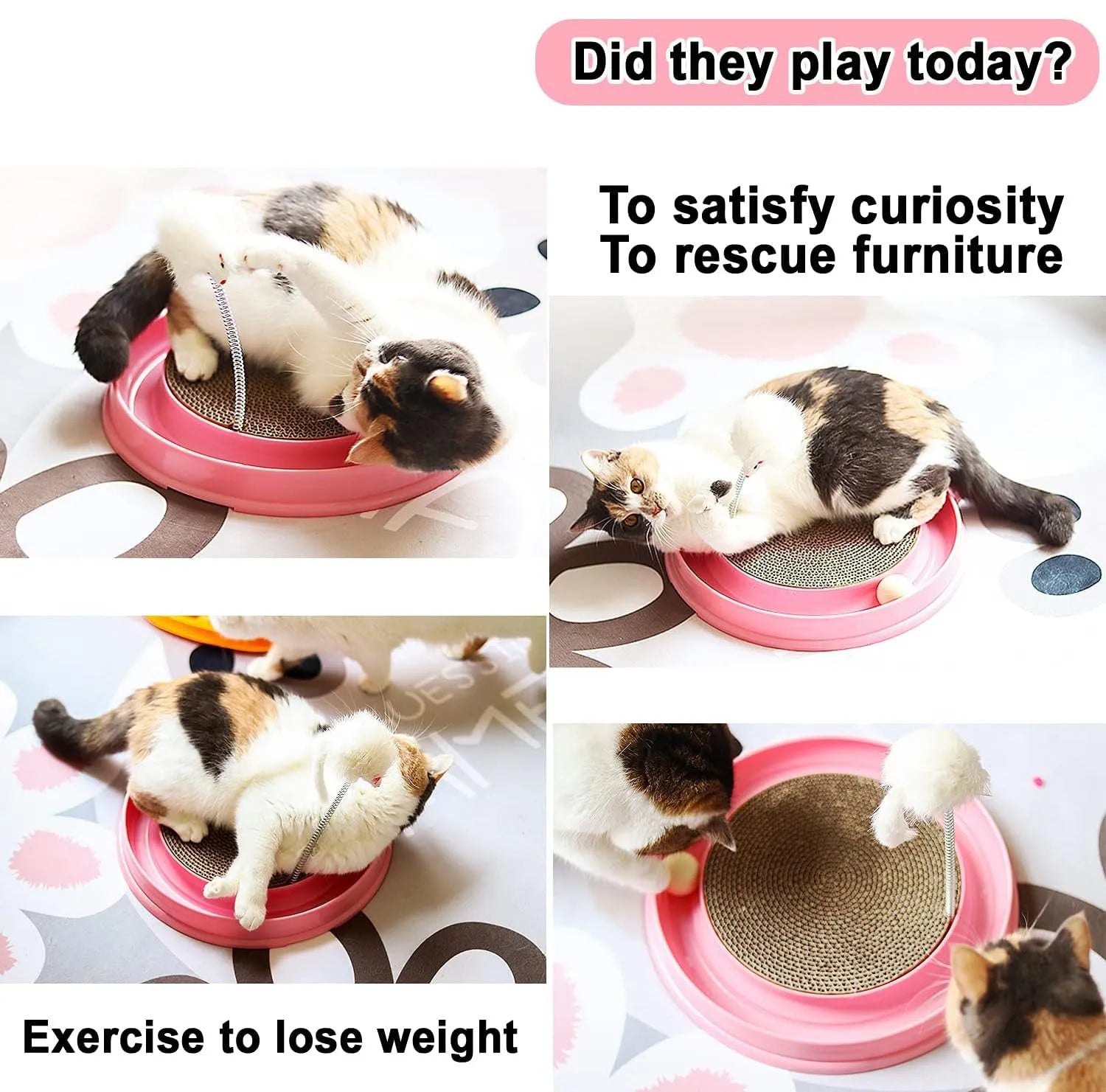 Blue interactive cat scratcher toy with round corrugated cardboard pad and rolling ball in track.
