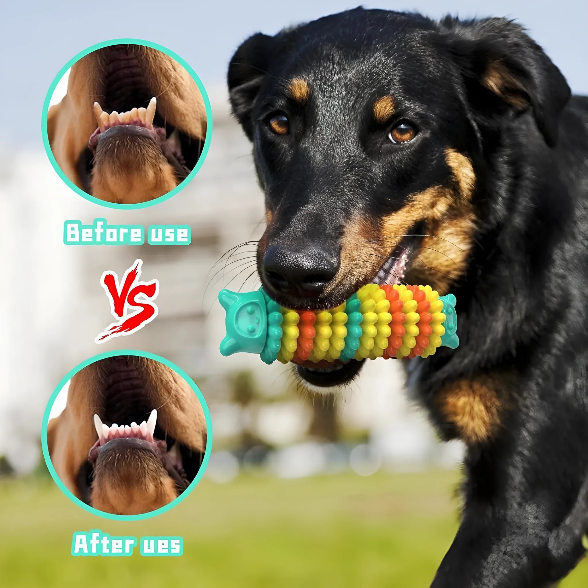 Blue rubber caterpillar-shaped dog chew toy for aggressive chewers on a plain background