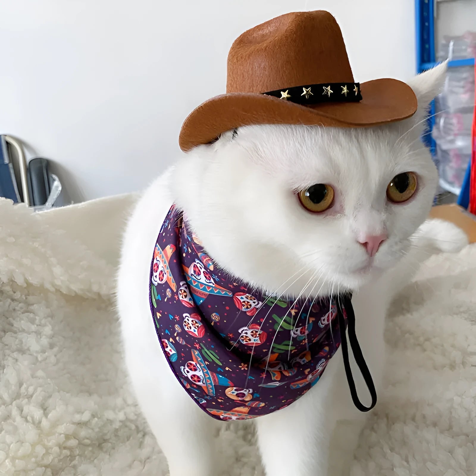 British cowboy hat for cats in various colours with ribbon or velvet trim