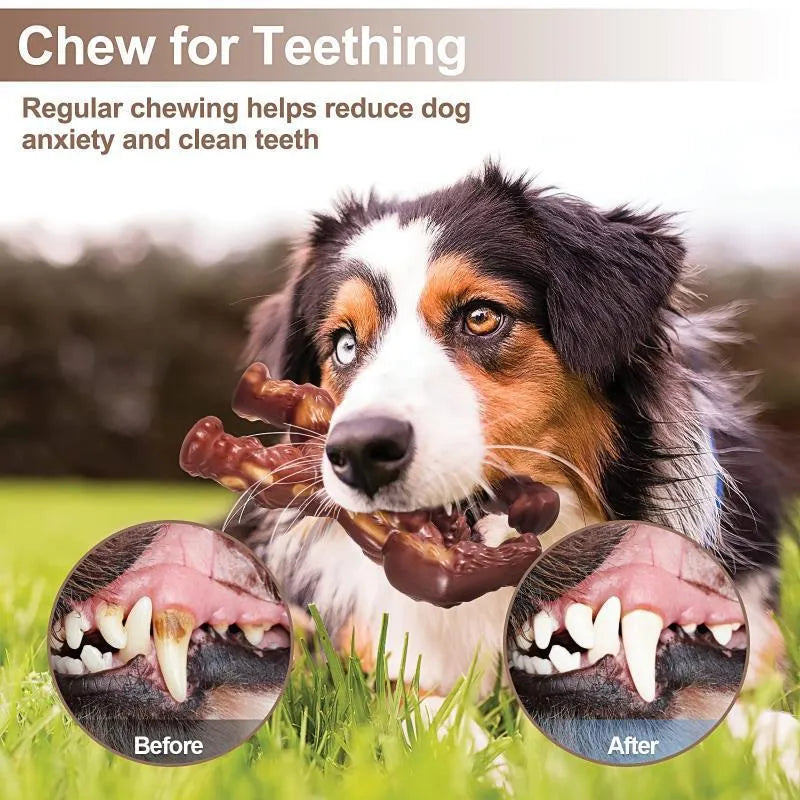 Scarlet-coloured nylon dog chew toy with beef flavour measuring 10.7x17.2x5 cm for molar nibbling