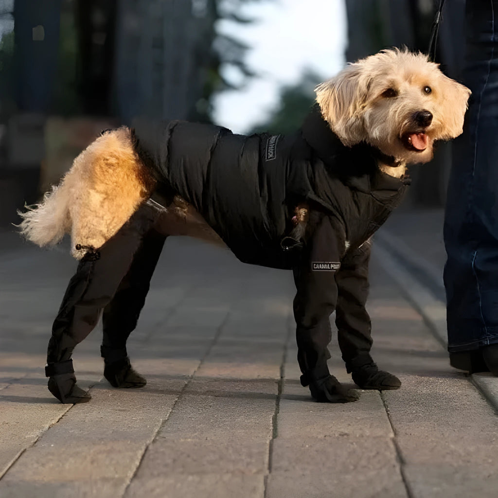 Black waterproof dog shoes with non-slip soles and an adjustable strap closure.