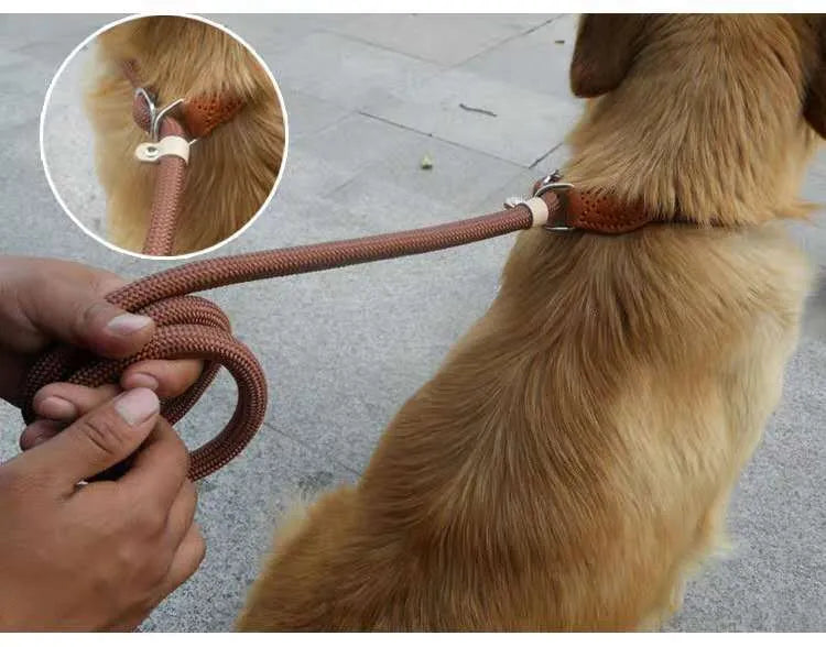 Brown nylon dog leash with P chain handle, showing 2.1 metre length.