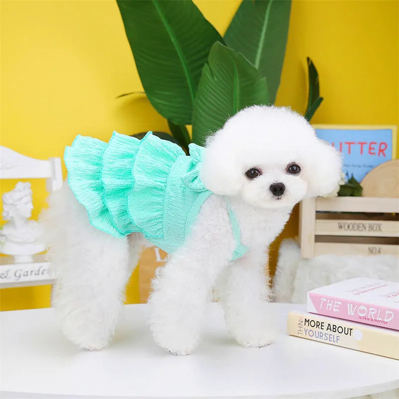 Small dog wearing princess dress with candy layered skirt in rose red colour, designed for thin teddy bichon breeds