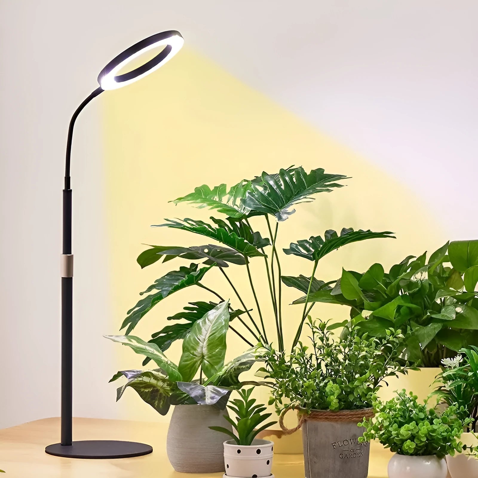 6-inch Angel Ring retractable floor plant grow light with adjustable 160cm lamp holder