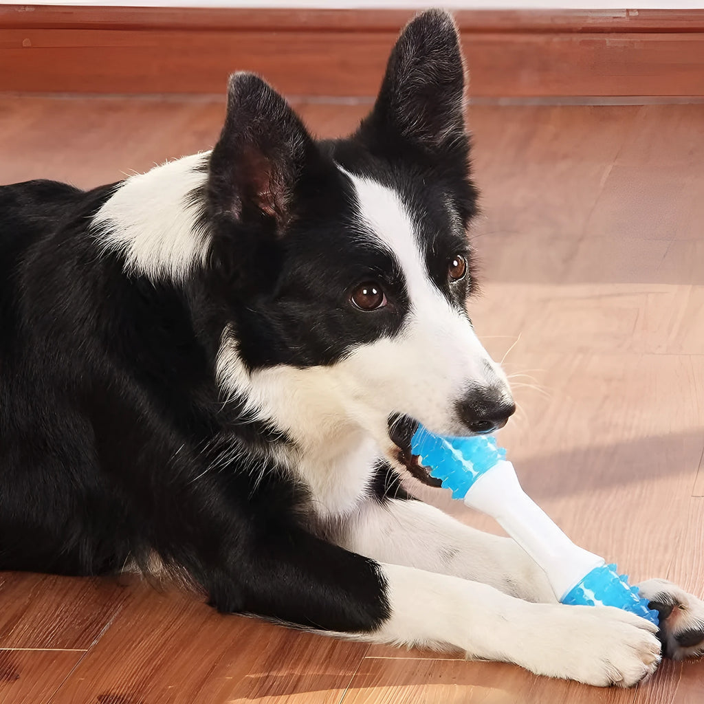 Dual-colour TPR puppy teething chew toy with dental cleaning texture in three available sizes