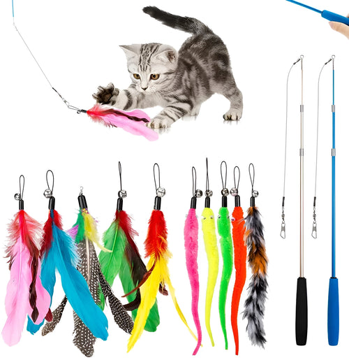 Cat teaser fishing rod set with feather heads and 30 cm poles for interactive play