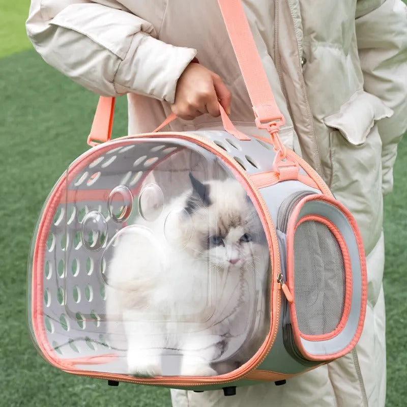 Transparent space capsule style backpack carrier for a cat, shown in lake blue colour, with hard EVA construction.