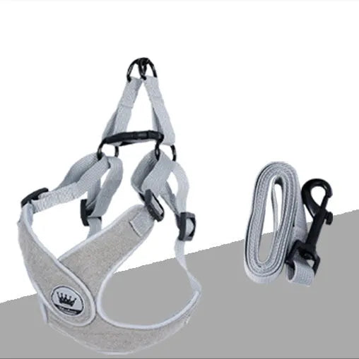 Adjustable dog and cat harness with breathable mesh material in blue colour with matching leash