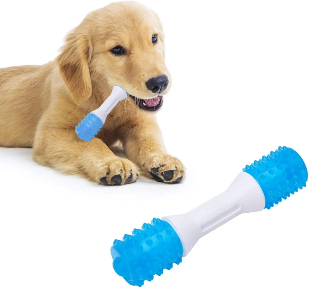 Dual-colour TPR puppy teething chew toy with dental cleaning texture in three available sizes