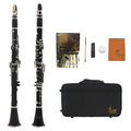 Black Bakelite clarinet with 17 nickel-plated keys shown with its included carrying bag.