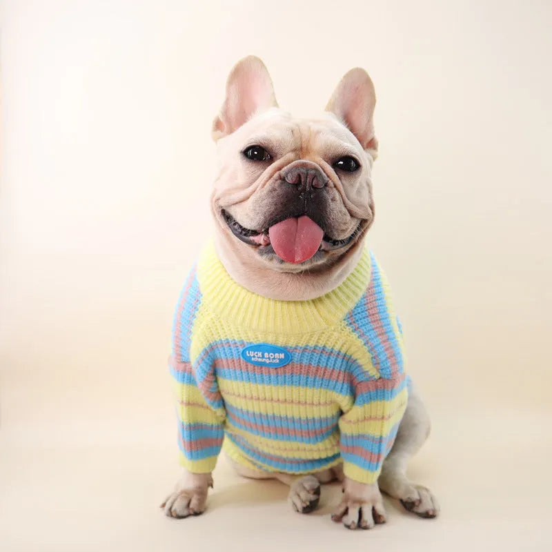 Blue and yellow stripe dog sweater for small breeds in wool material