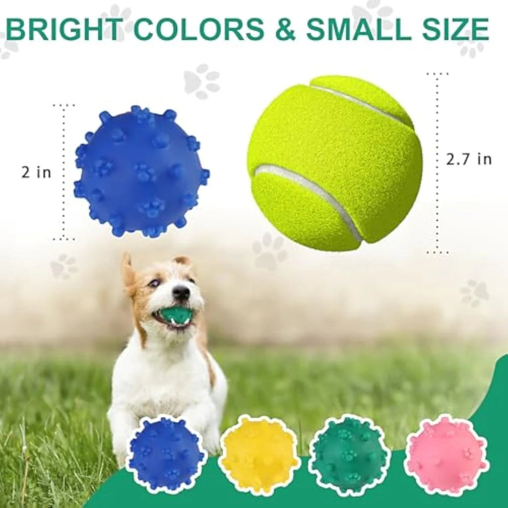 Bright blue, green, pink, and yellow spiked dog toy balls with paw print dimples on a white background.