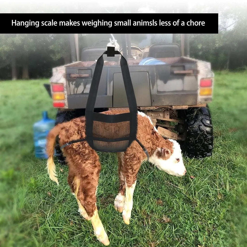 Black calf large dog weighing sling measuring 35x150cm for veterinary and livestock weight measurement