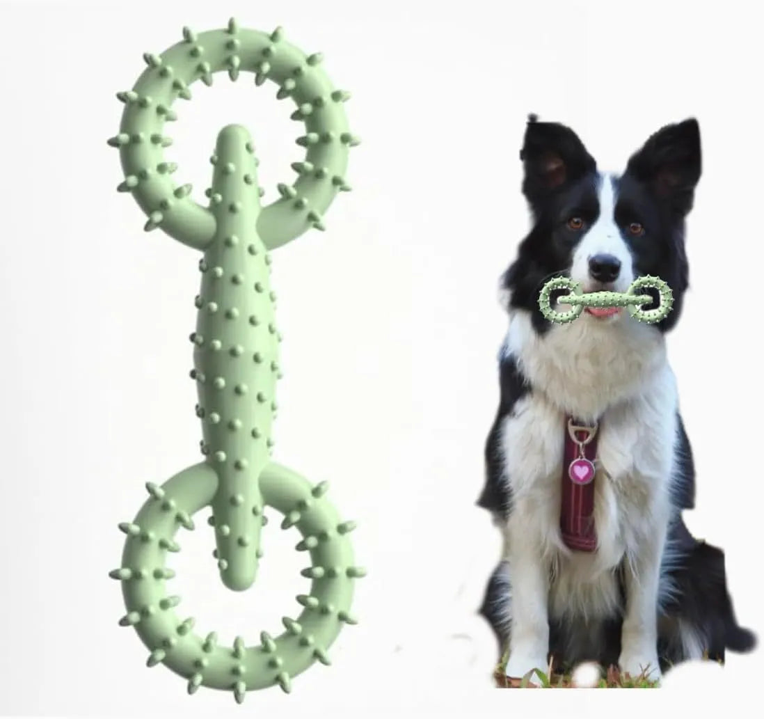 Blue TPR dog chew toy ring measuring 16cm in diameter for teething puppies