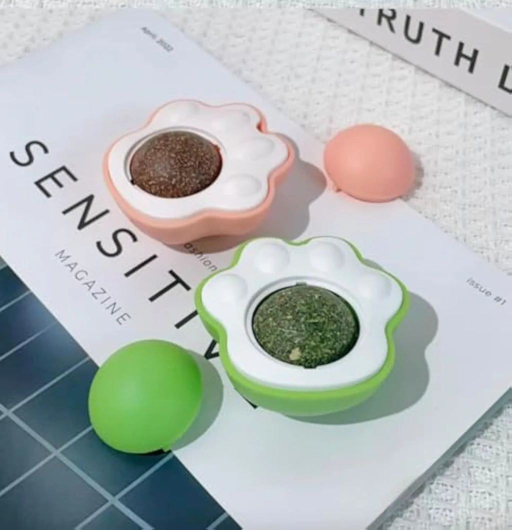 Coloured catnip balls with textured edible vine surface for feline dental cleaning and interactive play