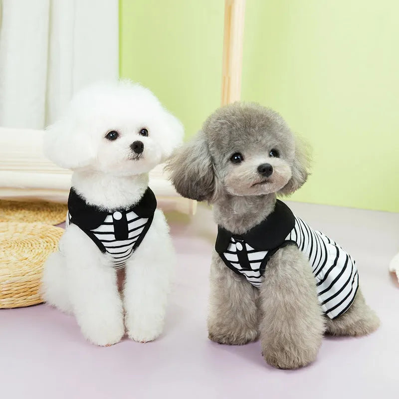 Pet dog wearing pink stripes cotton T-shirt and skirt summer outfit set