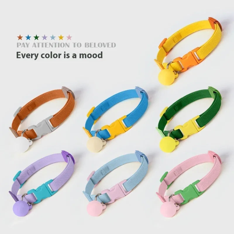 Small dog elastic polyester pet collar shown in seven colour options with adjustable 22-32cm sizing