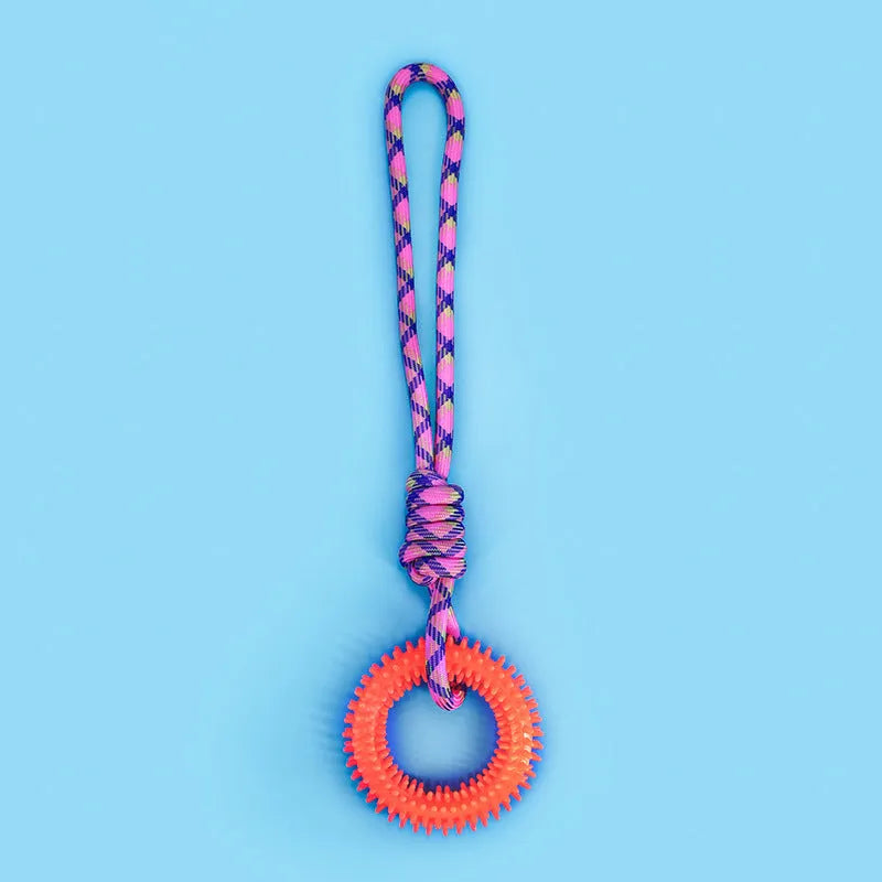 Braided cotton rope knot dog toy in bright colours for biting and tug of war play