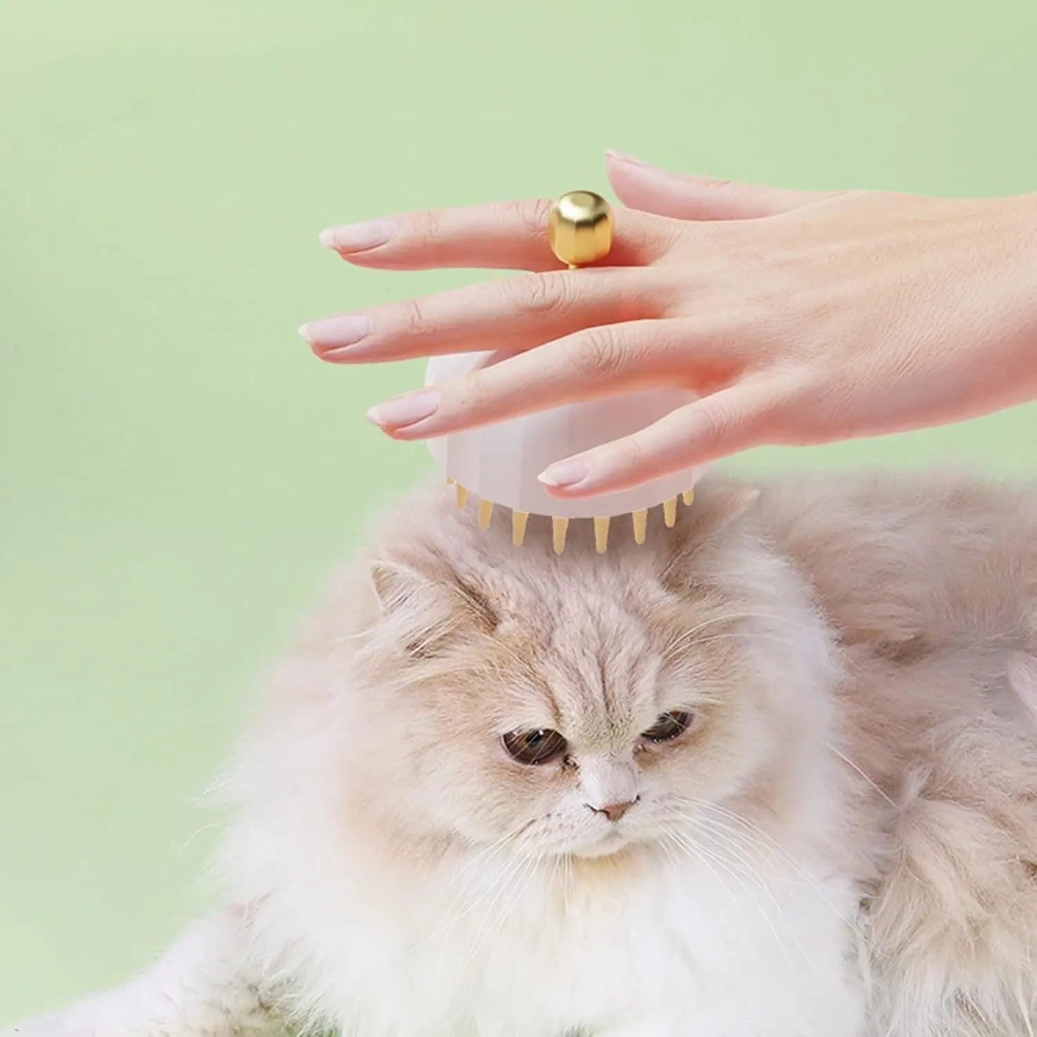 Green pet bath massage brush with soft silicone bristles and drainage holes for dogs and cats