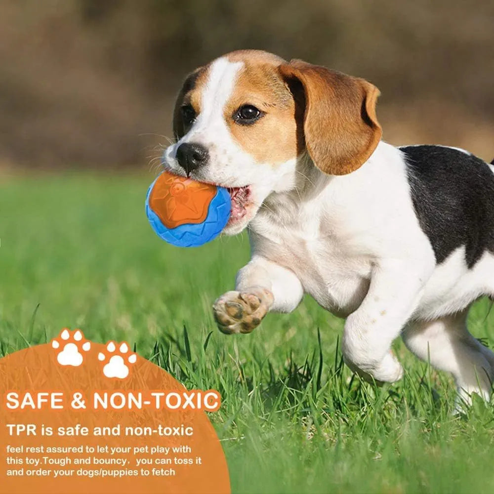 Set of three TPR dog toys: a squeaky ball, barbell, and tyre for floating fetch play.