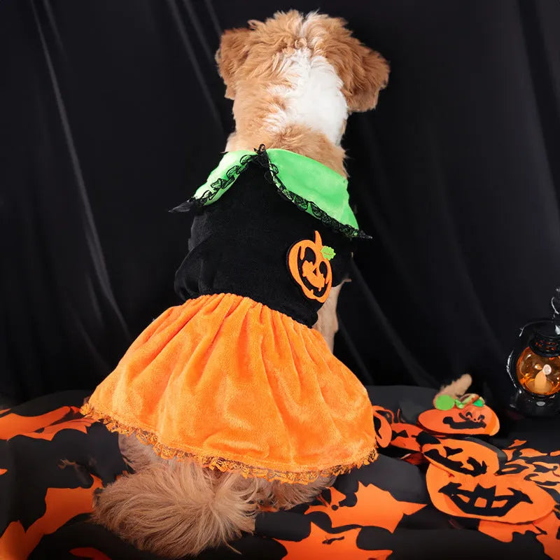 Halloween pumpkin skirt pet costume in crystal velvet material for dogs and cats
