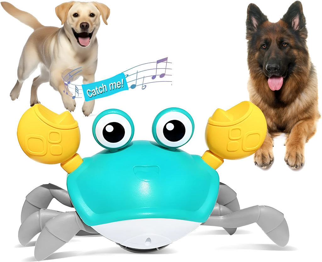 Blue or red electronic crawling crab dog toy with lights, shown next to a charging cable