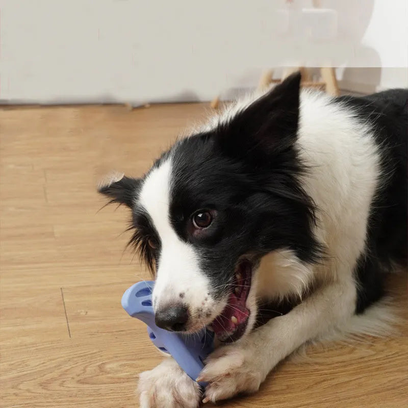 Blue or purple bite-resistant boomerang dog chew toy with molar edge texture for puppy teeth relief