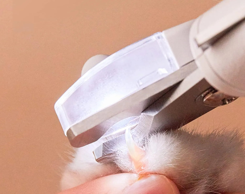 White pet nail clippers with LED light, transparent anti-splash baffle, and triangular steel blades for cats and dogs