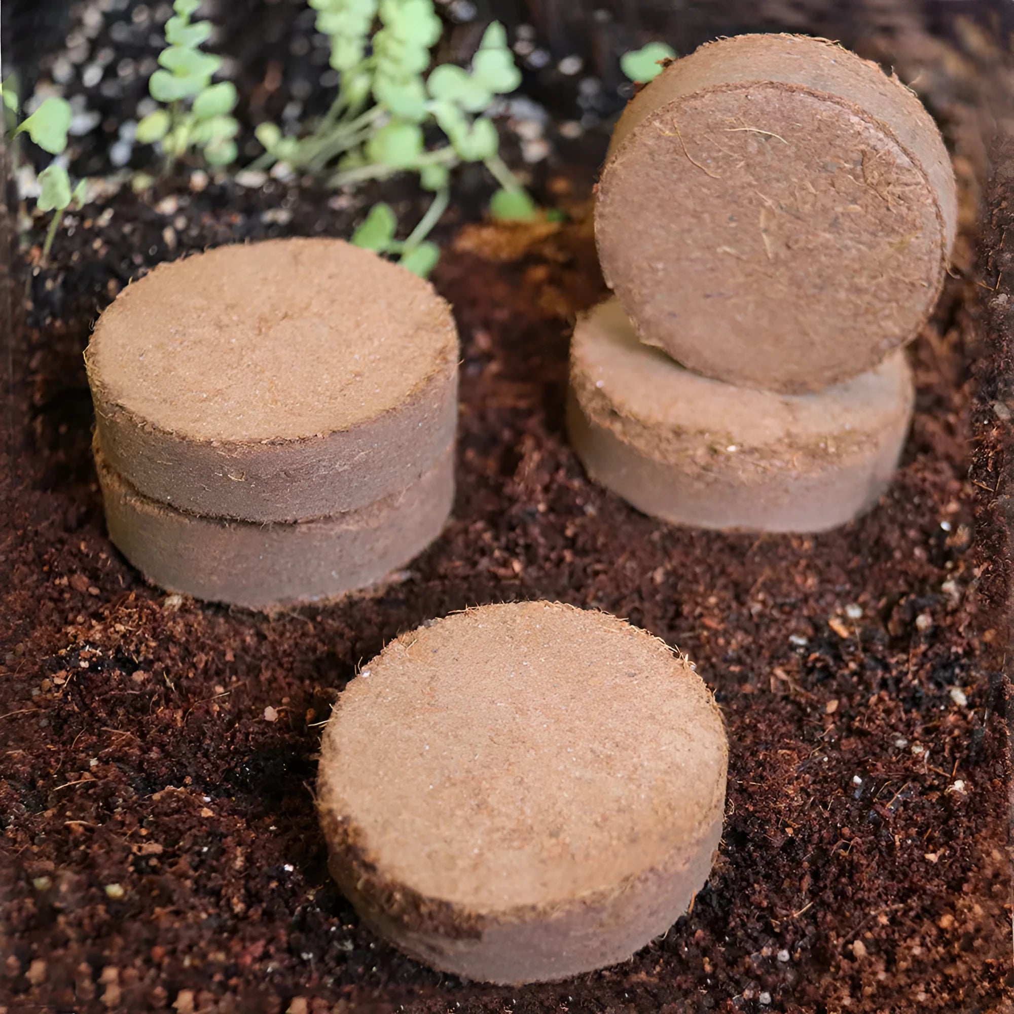 Assortment of nutrient soil planting blocks in different sizes on a garden table.