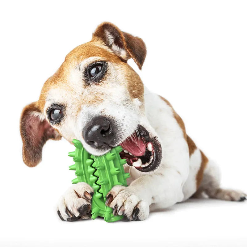 Green cactus-shaped dog toothbrush toy for medium to large breed aggressive chewers