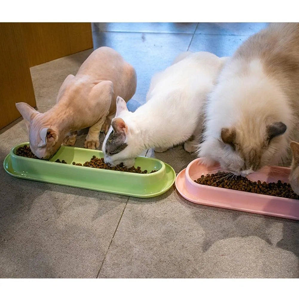 Green leakproof pet bowl with stainless steel insert and silicone base for dogs and cats.