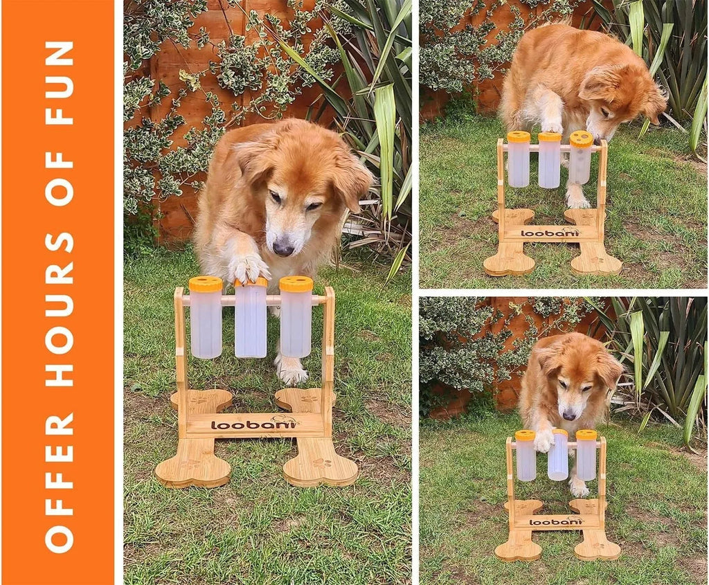 Wooden dog puzzle toy snack dispenser feeder with treat compartments measuring 31x30x20cm