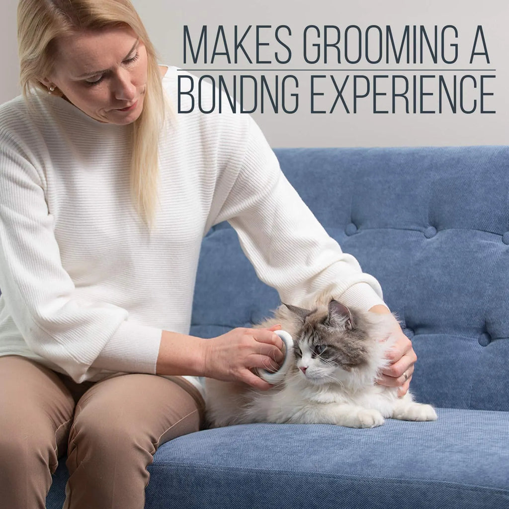 Blue pet grooming brush with soft teeth and ergonomic handle for deshedding cats and dogs.
