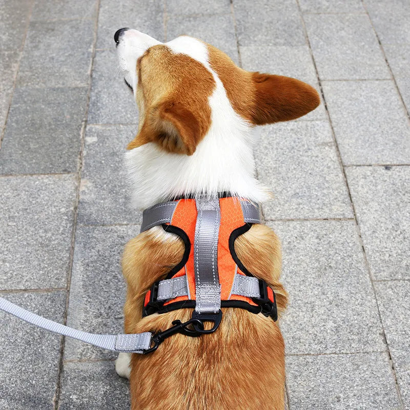 Orange polyester dog chest strap harness with an adjustable hand holding rope attached.