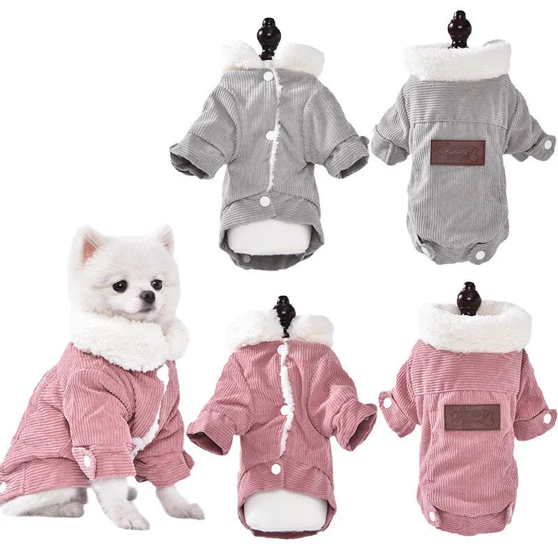 Dog wearing fleece-lined lambswool vest in grey colour with wool lining visible