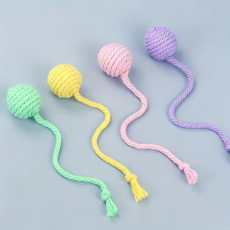 Coloured cat toy ball with rope attached and built-in bell inside, shown in green, pink, purple, and yellow options