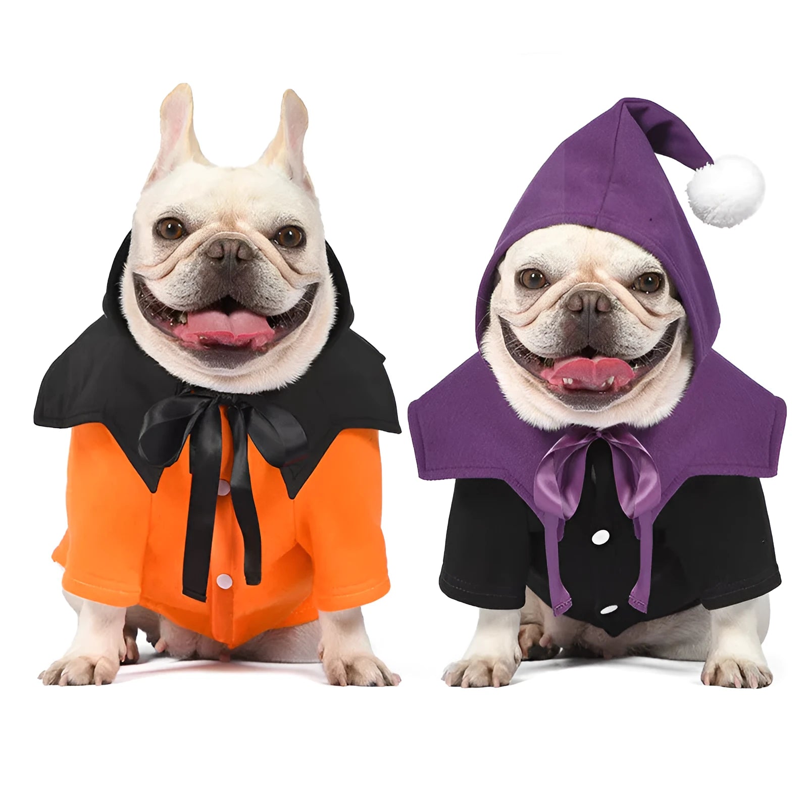 Halloween pumpkin design dog costume with black cotton sweater and orange pumpkin pattern