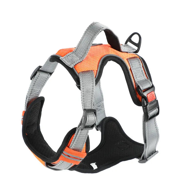 Orange polyester dog chest strap harness with an adjustable hand holding rope attached.