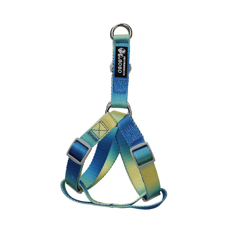 Nylon dog leash and gradient colour collar set in pink and blue, showing S and M size options.