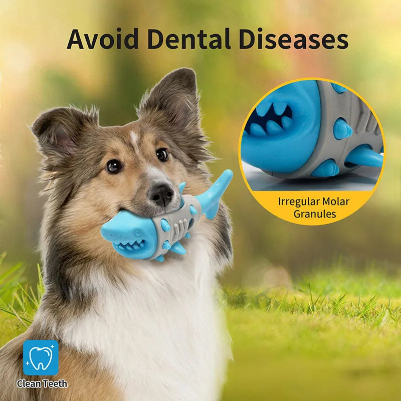 Blue durable rubber dog toy with shark-tooth texture and leaky design for teething puppies