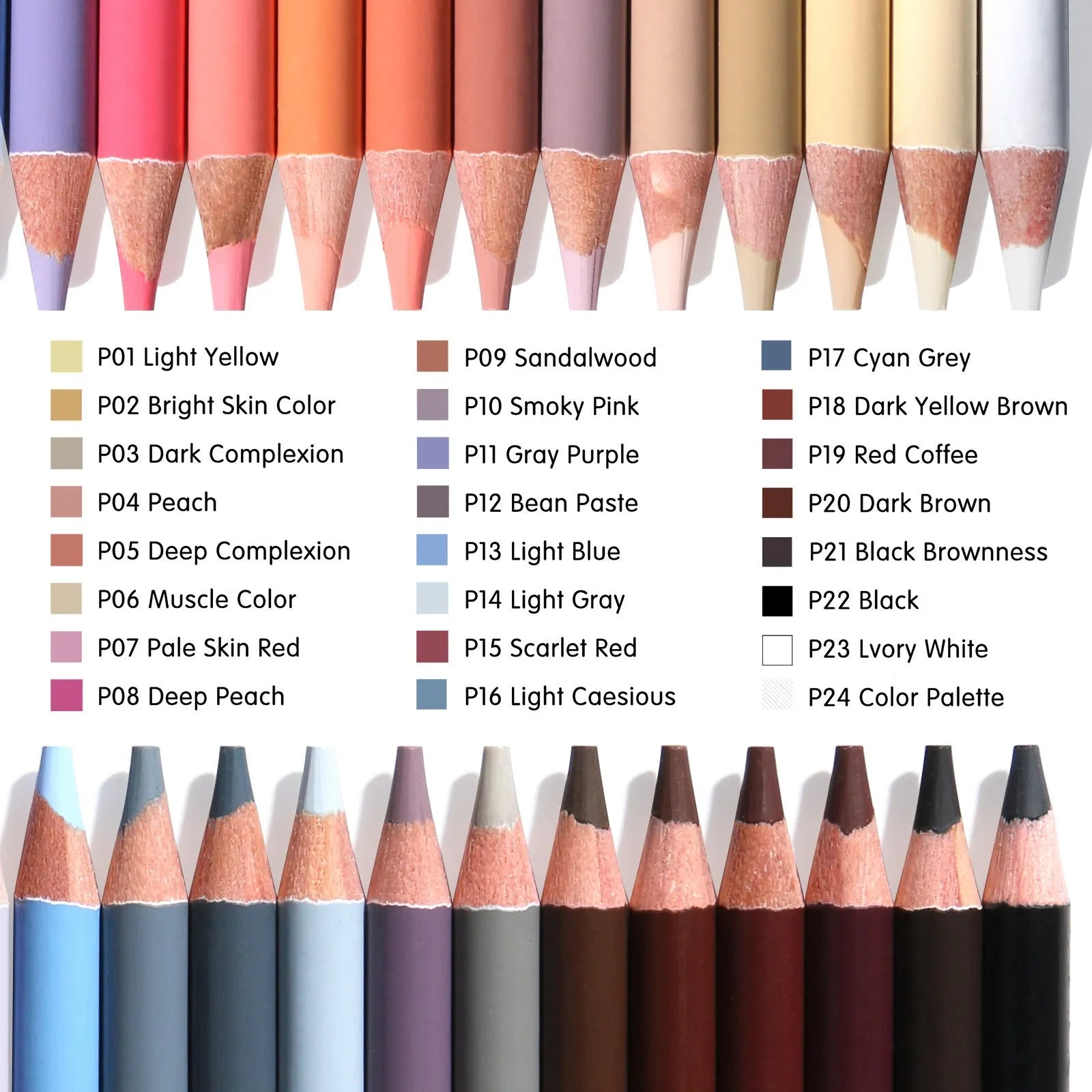 24-colour oil-based skin tone pencils for portrait art in metal tin round brush pot case