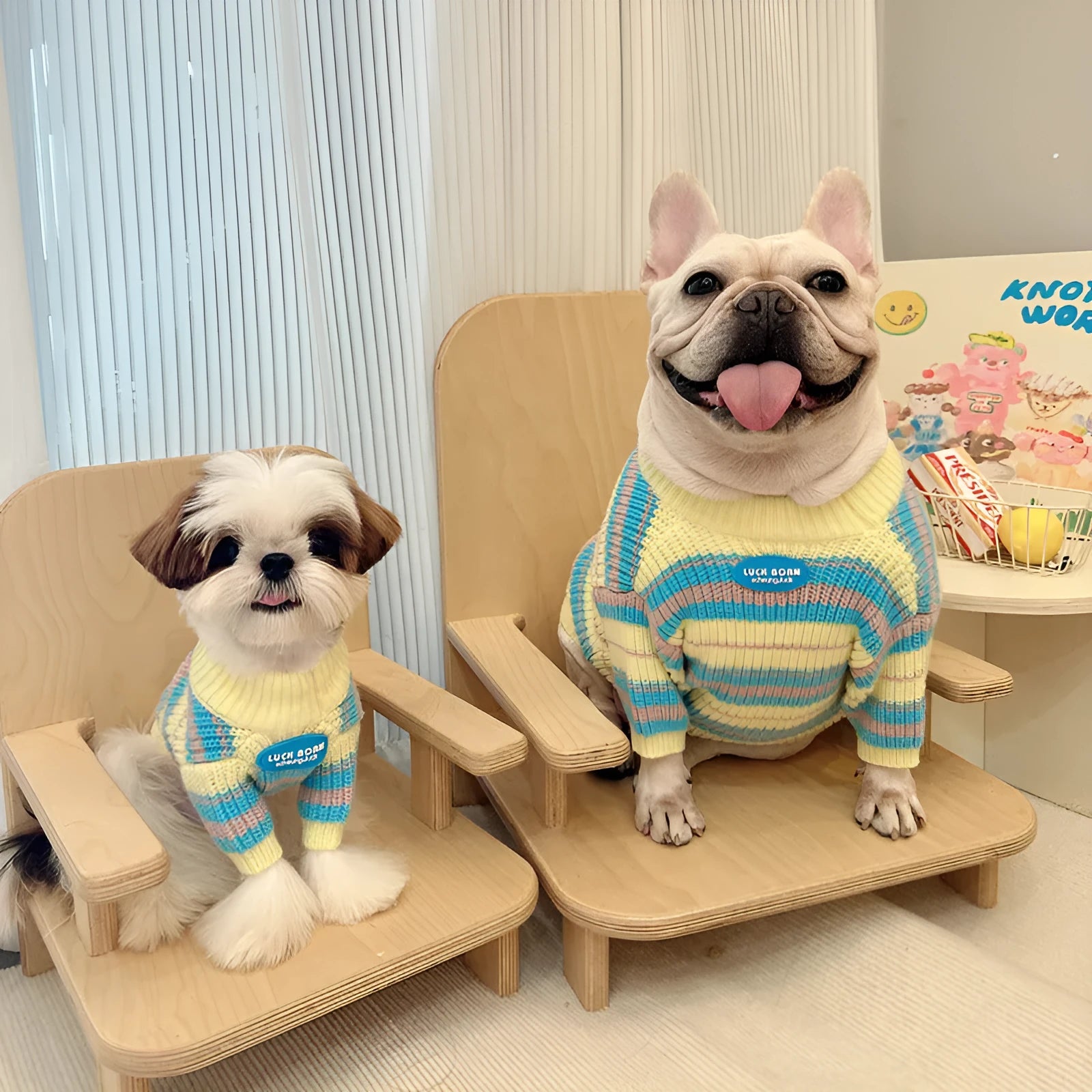 Blue and yellow stripe dog sweater for small breeds in wool material