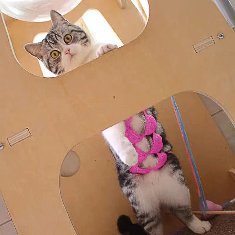 Cat wearing a pink bikini bra and underwear costume for a party.