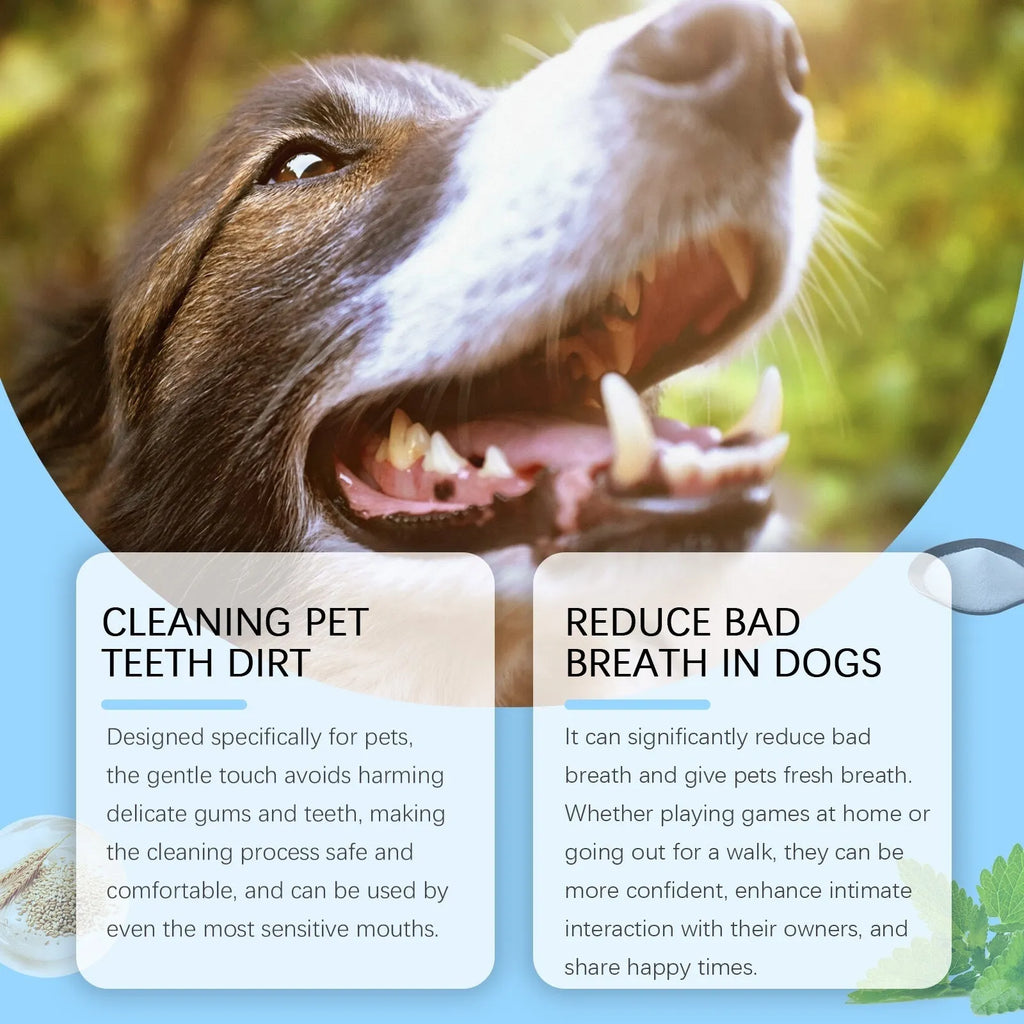 Pet toothbrush pen with soft bristles and 3ml toothpaste volume for dog and cat dental care
