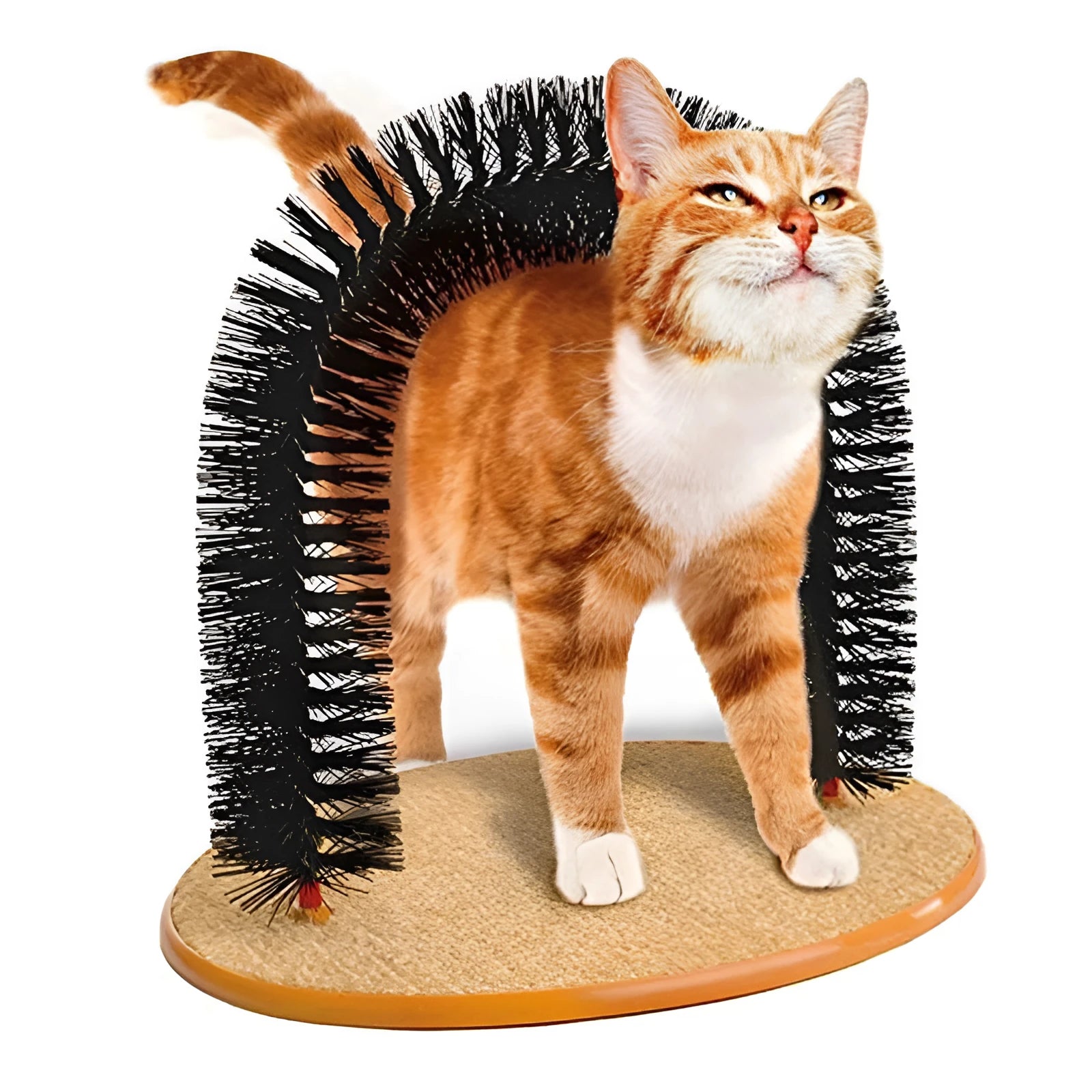 White cat grooming arch with built-in brush bristles for scratching and self-grooming