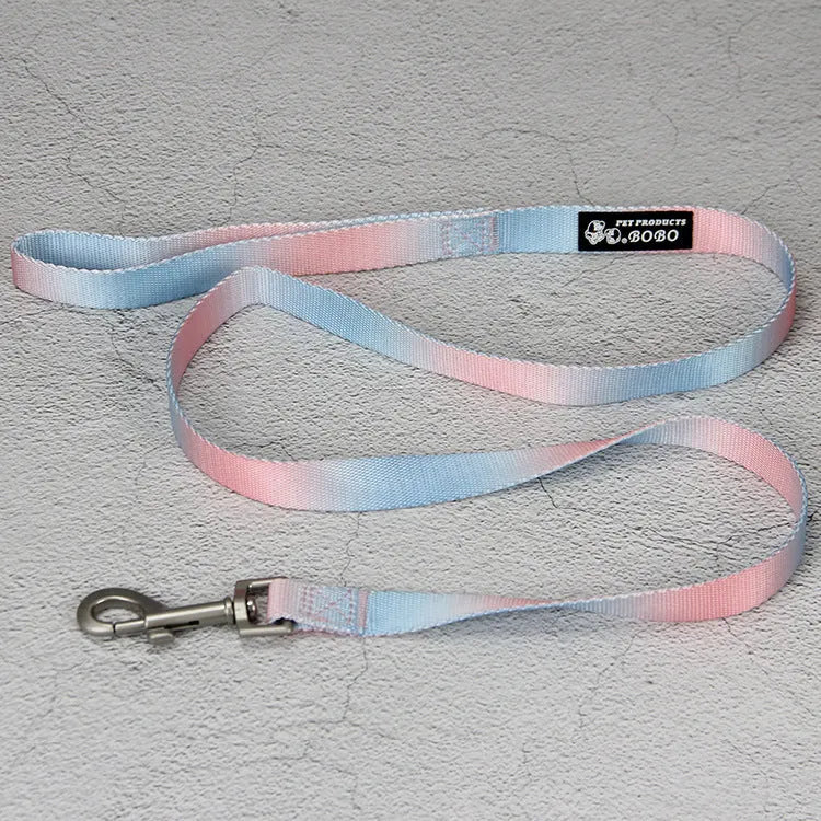 Nylon dog leash and gradient colour collar set in pink and blue, showing S and M size options.