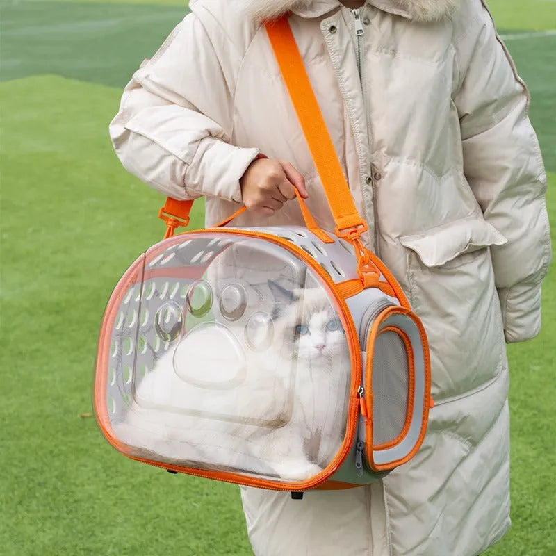 Transparent space capsule style backpack carrier for a cat, shown in lake blue colour, with hard EVA construction.