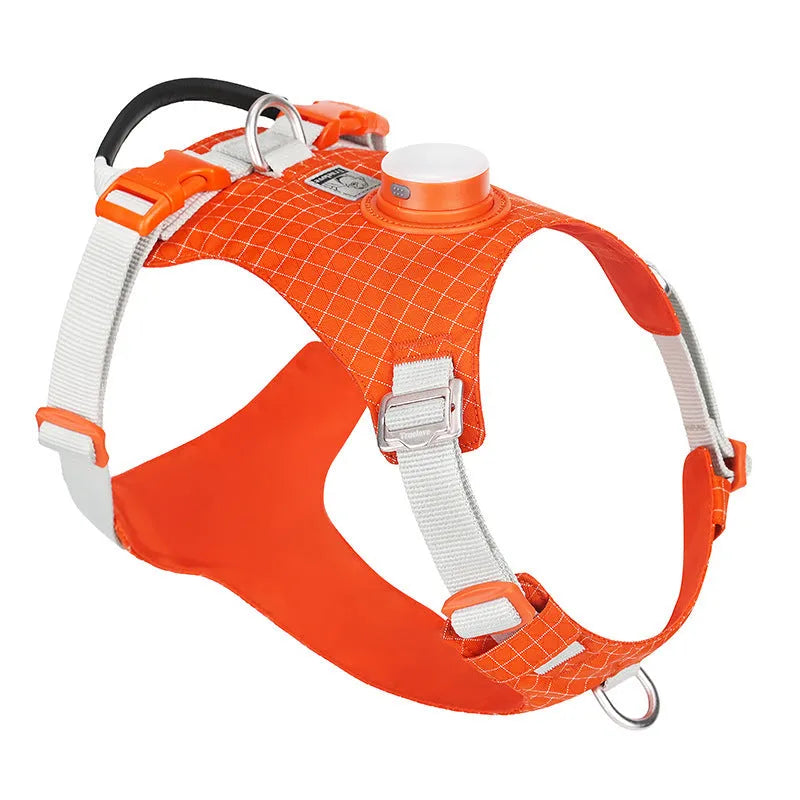 Nylon dog harness with LED light in multiple colours including light purple, green, black, orange, white, blue
