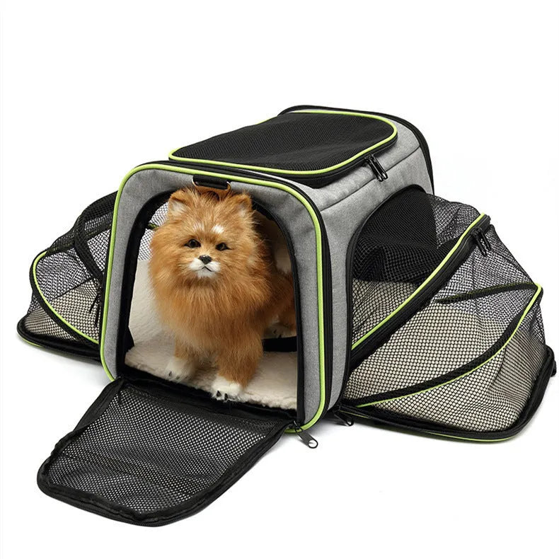 600D cation polyester cat carrier bag in small and large sizes with medium-soft hardness
