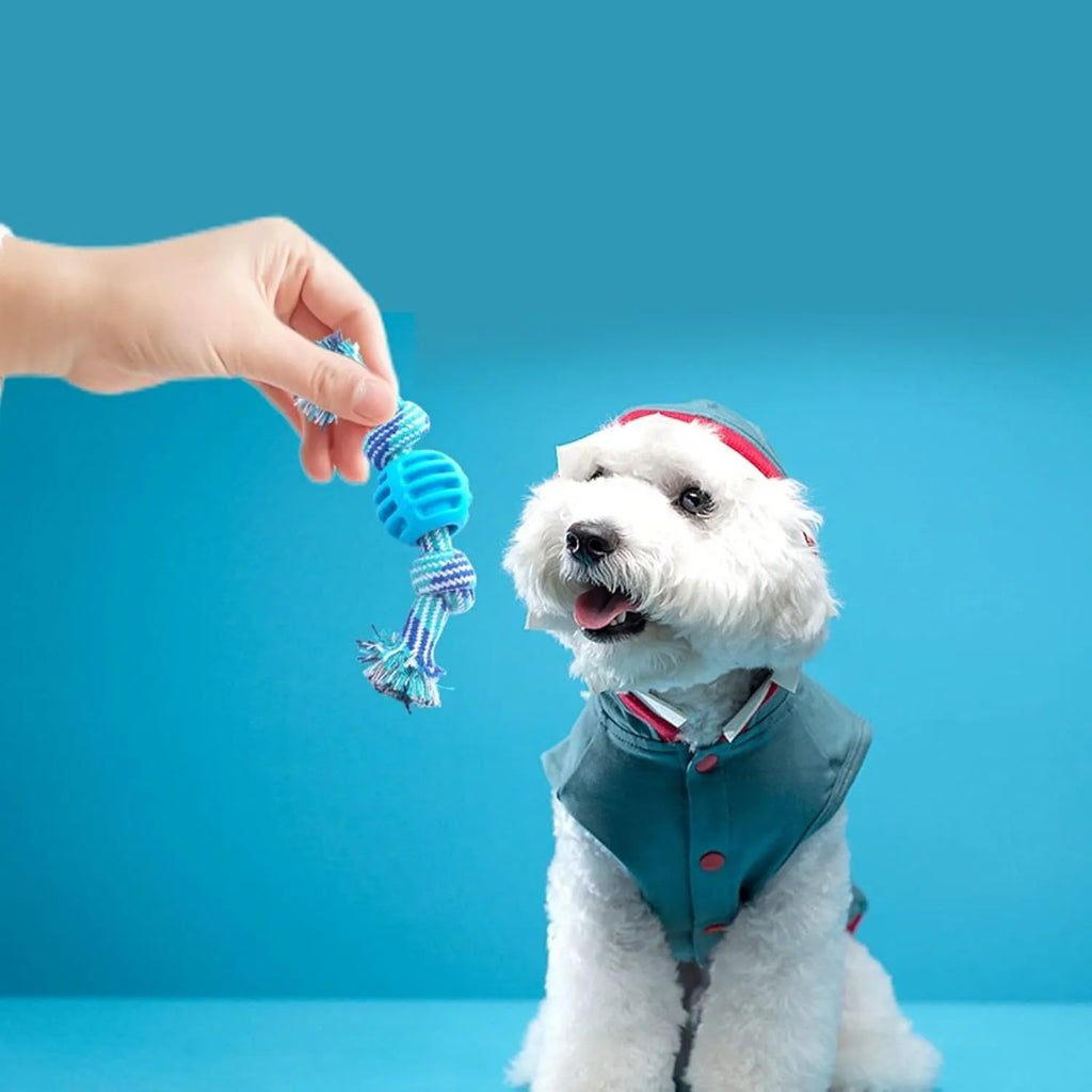 Blue dog chew toy with rope and molar cleaning design for dental hygiene